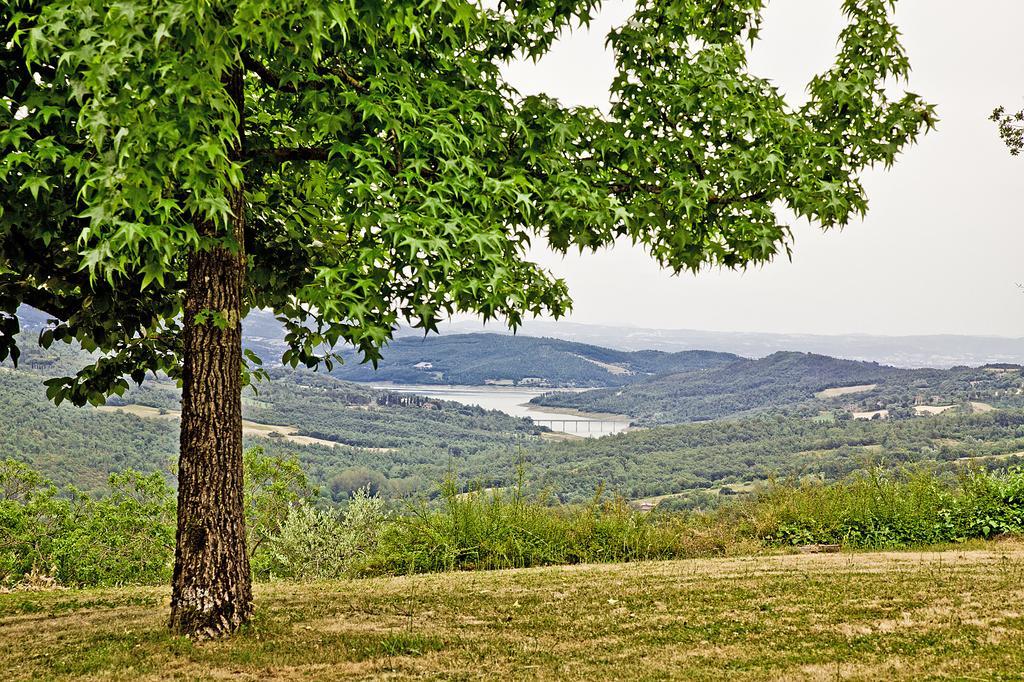 Agriturismo Terra Di Michelangelo Caprese Michelangelo Екстер'єр фото