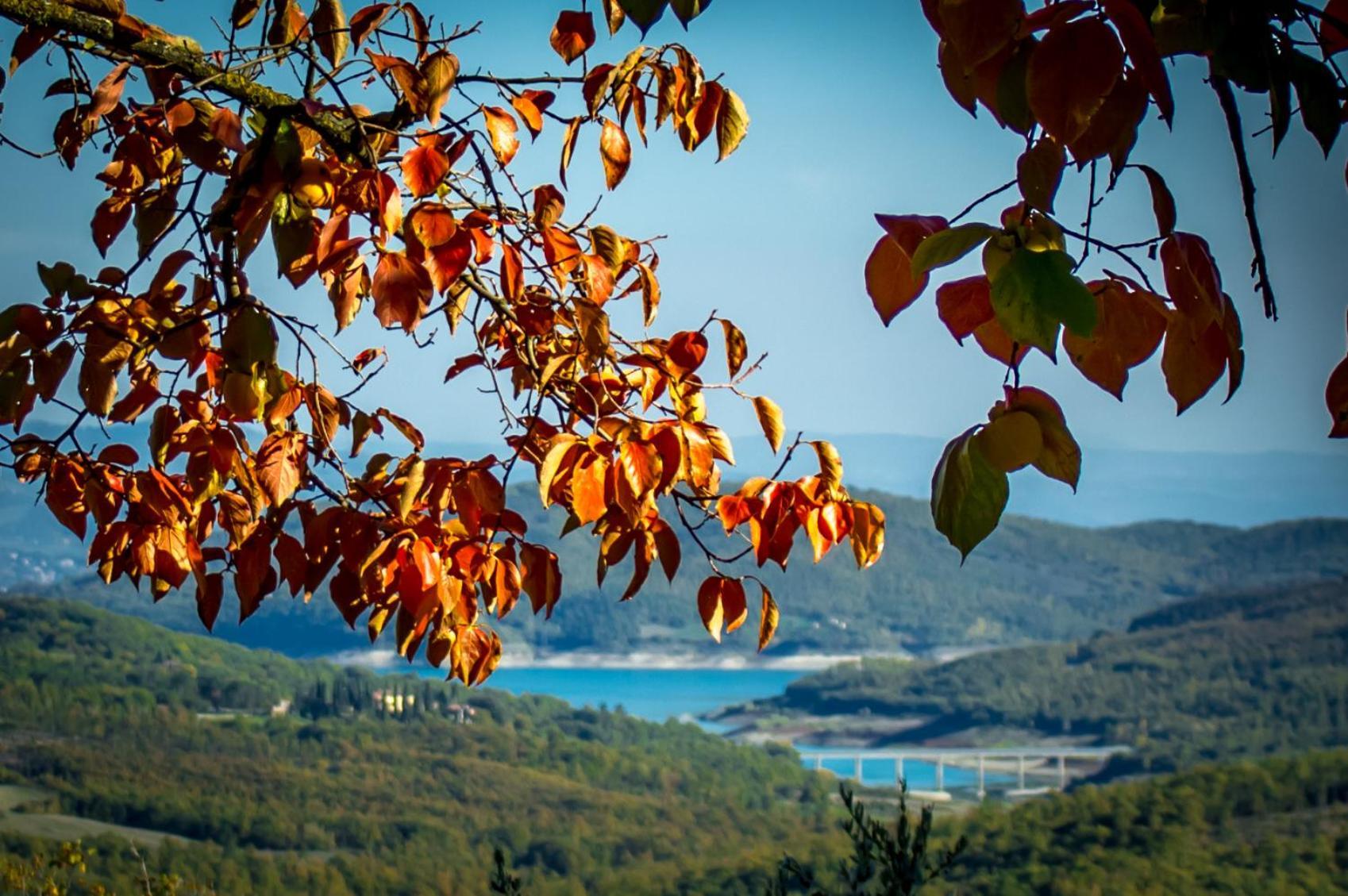 Agriturismo Terra Di Michelangelo Caprese Michelangelo Екстер'єр фото