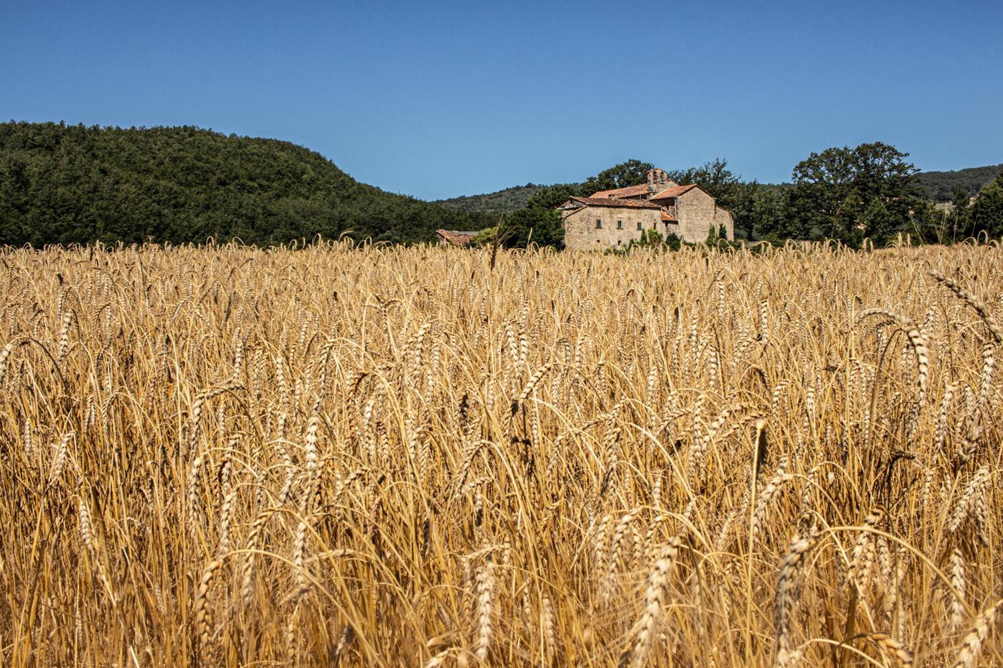 Agriturismo Terra Di Michelangelo Caprese Michelangelo Екстер'єр фото