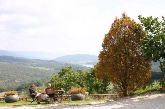 Agriturismo Terra Di Michelangelo Caprese Michelangelo Номер фото